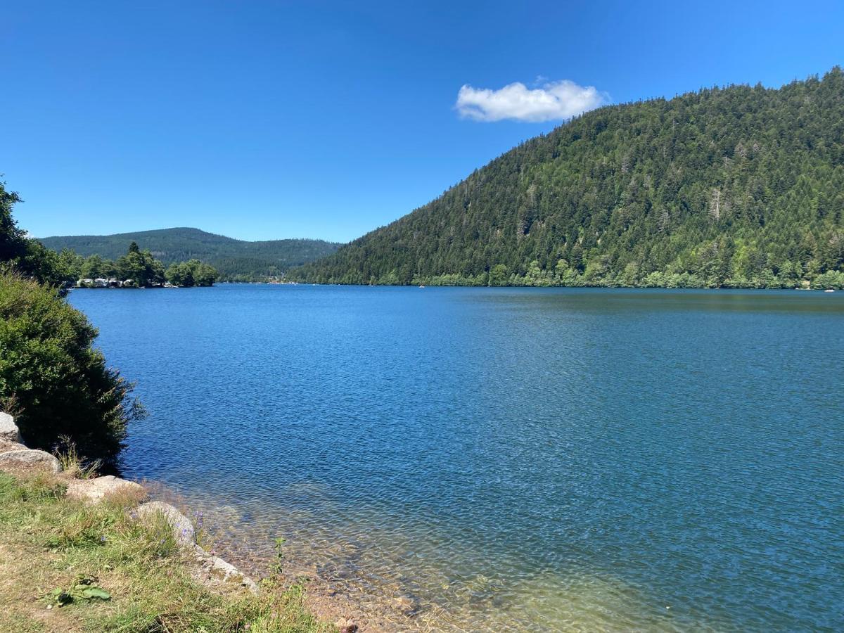 Apartmán Les Ecureuils Xonrupt-Longemer Exteriér fotografie